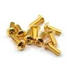 Stainless Steel 24K Gold Coated Screw 3x12mm Hex Socket Button Head Screw -10pz-