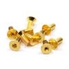 Stainless Steel 24K Gold Coated Screw 3x12mm Hex Socket Flat Head Screw -10pz-